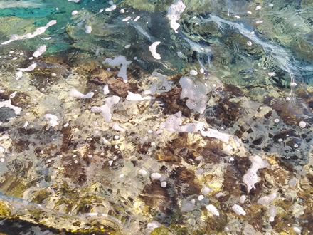 Umjetnička fotografija mora